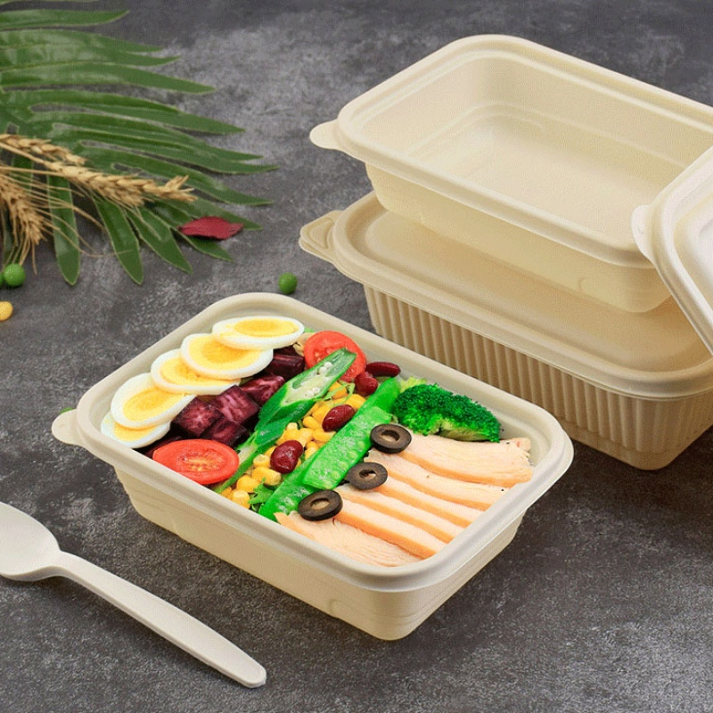 Anpassad storlek matlåda komposterbar engångs snabbmatbehållare för bento shop takeaway majsstärkelse biologiskt nedbrytbar matcontain