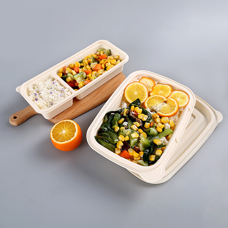 Miljövänlig BPA-fri engångslåda för engångsbruk (bento lunch box) och paketlåda Biologiskt nedbrytbar livsmedelsförpackning